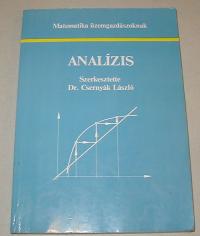 Csernyák László (szerkesztő): Analízis. Matematika üzemgazdászoknak