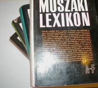 Polinszky Károly (főszerkesztő): Műszaki lexikon. I-IV. köt