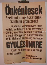 Önkéntesek. Szellemi munkáskatonák!  Szellemi proletárok! 1918. novenber 20