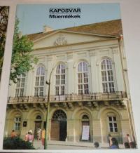 Kaposvár