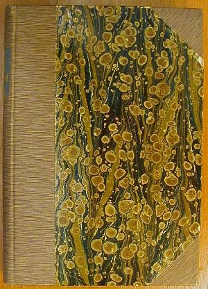 Friedrich Lippmann: Der Kupferstich