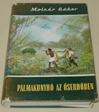 Molnár Gábor: Pálmakunyhó az őserdőben