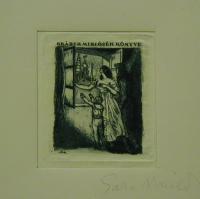 Gara Arnold: Gráber Miklósék könyve