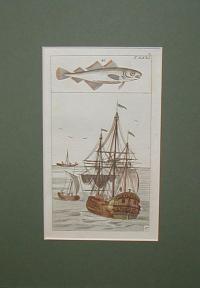 Angler, fisher, fishing. Horgász, halász, halászat