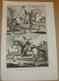 Manege, allures defectueuses