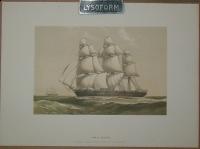 H.M.S. VOLACE