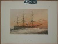 H.M.S. ROYAL  ALFRED