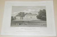 Winkles: Ampthil House. Bedfordshire