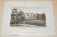 Smith: Powderham Castle. Devonshire