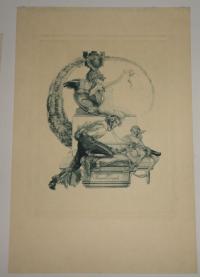 Franz Von Bayros: Ex libris Baron Trenk