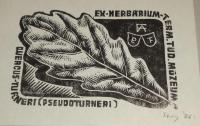 Fery Antal: Ex Herbarium Term. Tud. Múzeum