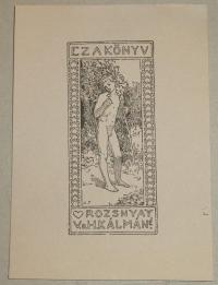 Stein János 1874-1944: Rozsnyay Kálmáné