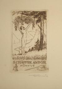 RÉVÉSZ Kornél: Schäfer Andor könyve