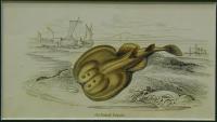 Old British Torpedo